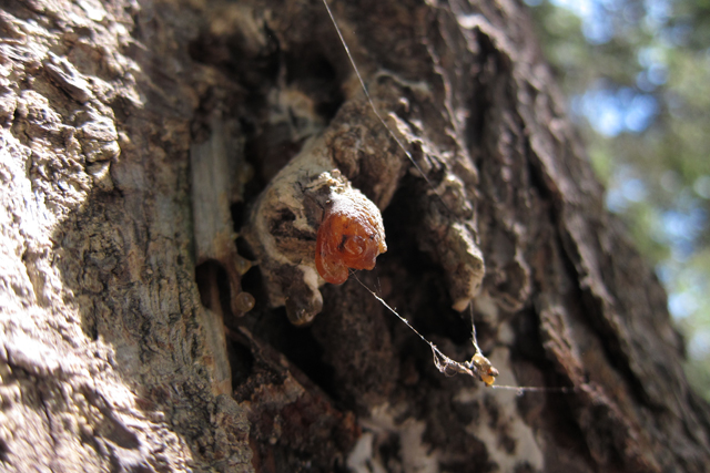 Jul152013_Shubie-Adventure_02