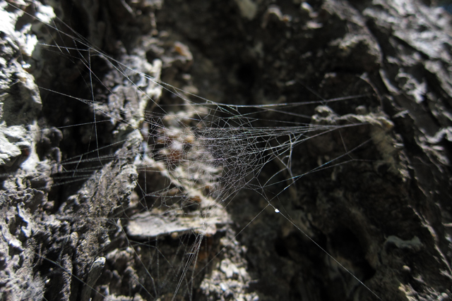 Jul152013_Shubie-Adventure_03