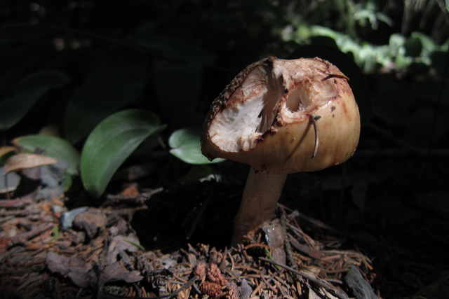 Jul152013_Shubie-Adventure_04