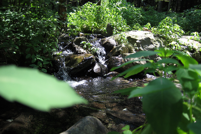 Jul152013_Shubie-Adventure_07