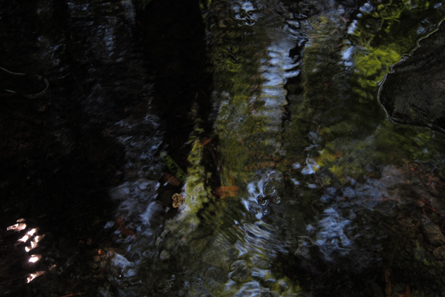 Jul152013_Shubie-Adventure_08