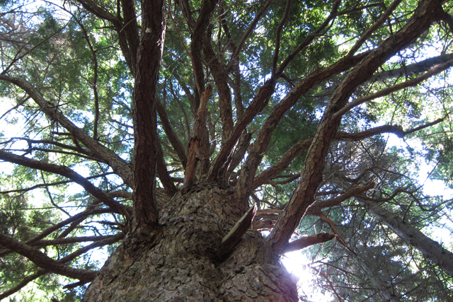 Jul152013_Shubie-Adventure_13