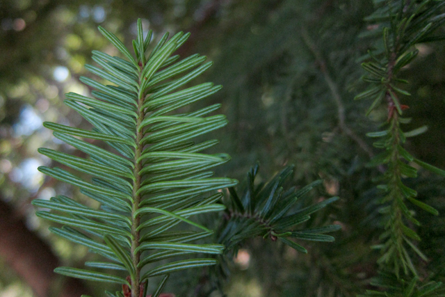 Jul152013_Shubie-Adventure_21