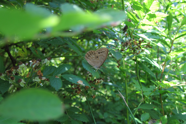 Jul152013_Shubie-Adventure_30