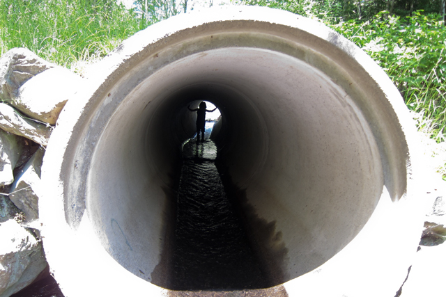 Jul152013_Shubie-Adventure_45