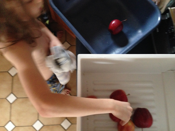 10Feb2015_apple washing_04